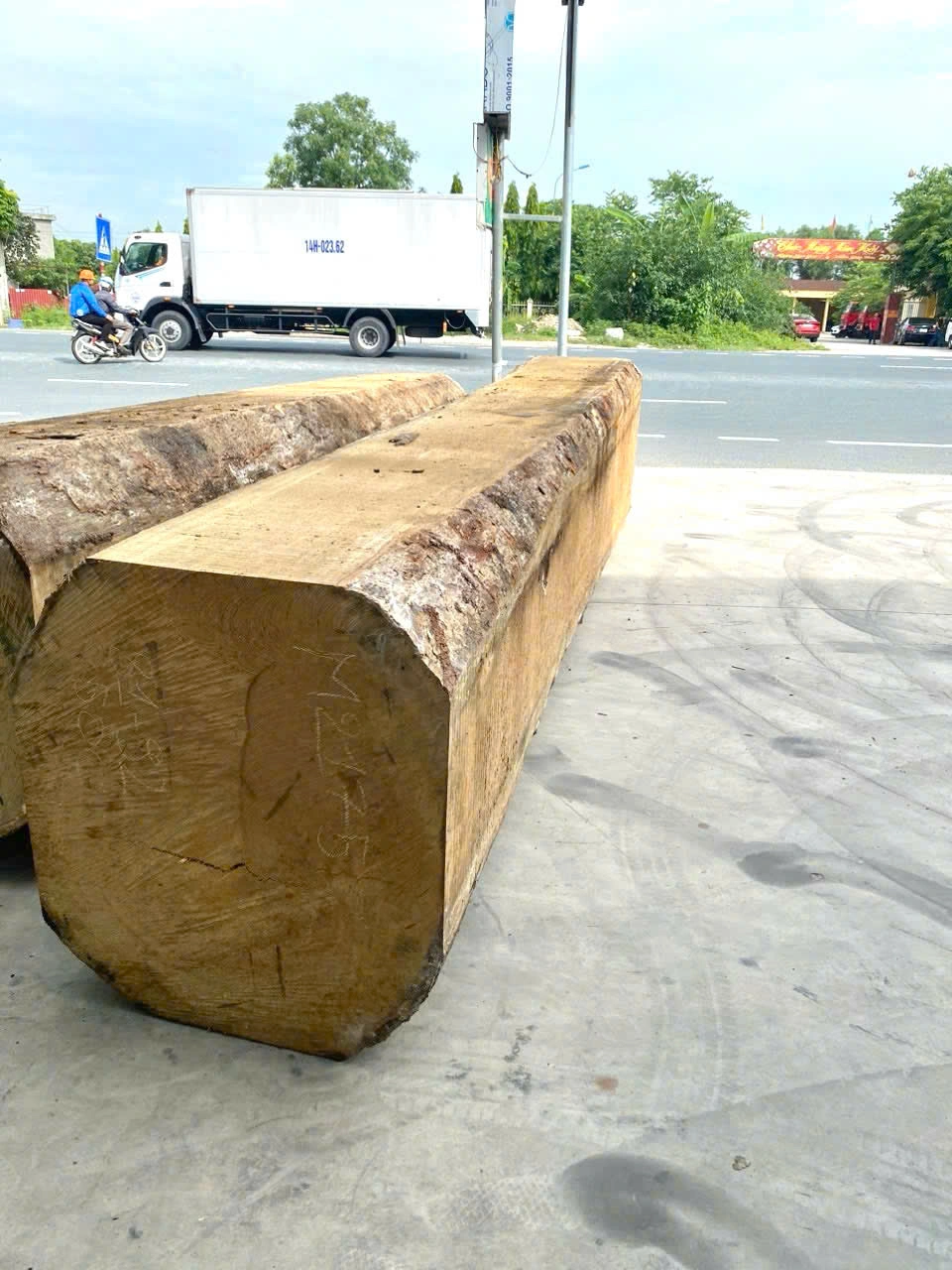 Gỗ dổi M21-75